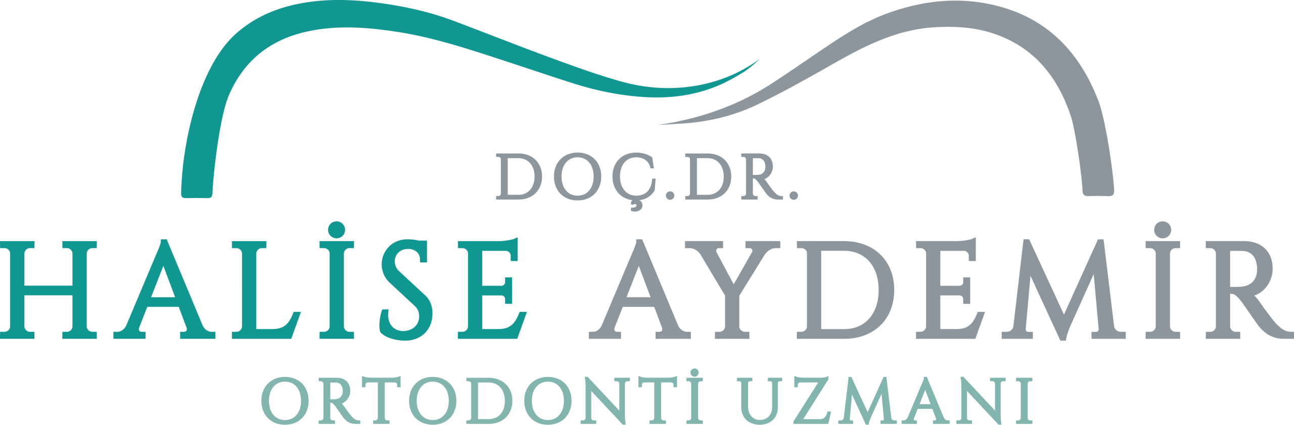 Dr. Halise Aydemir